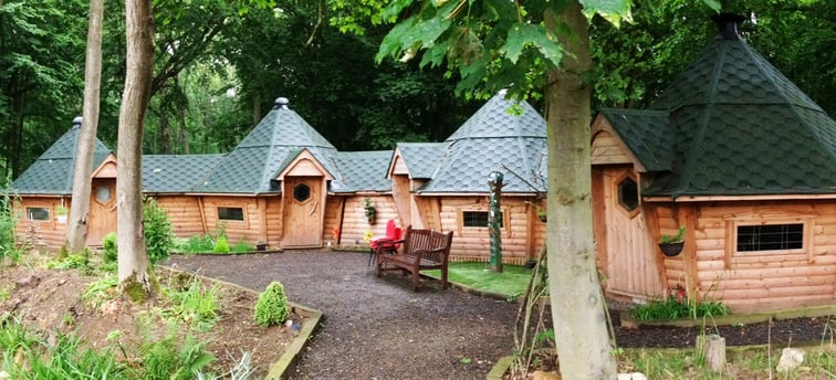 Group of Timber Cabins linked together in wooded area