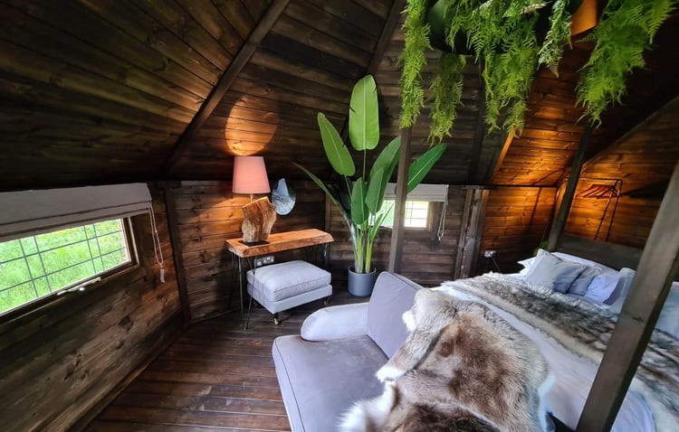 Interior of timber garden cabin by Arctic Cabins, featuring bed & tropical green plants